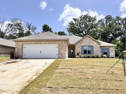 749 Magnolia Point Circle, Pearl, MS 39208