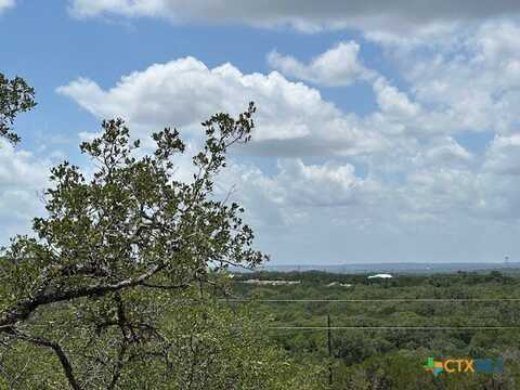 811 Hillside Drive, Spring Branch, TX 78070