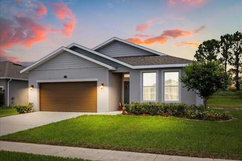 37125 SCENIC BLUFF DRIVE, GRAND ISLAND, FL 32735