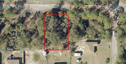 MALAUKA PASS TRAIL, OCKLAWAHA, FL 32179