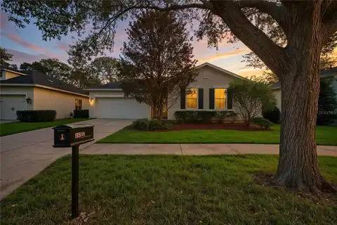 15810 STARLING WATER DRIVE, LITHIA, FL 33547