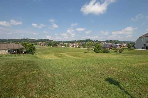 112 Cardinal Point, Blountville, TN 37617