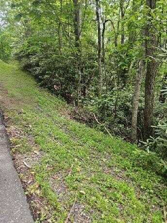 Lot E24 Otter Creek Trail, Fancy Gap, VA 24328