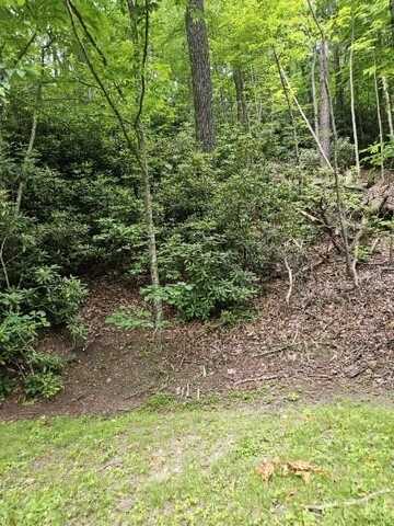 F-16 Otter Creek Trail, Fancy Gap, VA 24328