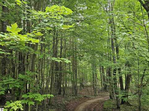 V/L Canyon Road, Leroy, MI 49665