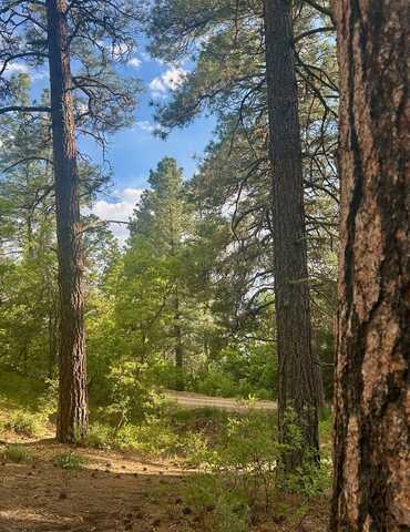Tract B 266 Gallina Canyon Road, Valdez, NM 87580