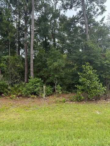 NE County Road 67, Hosford, FL 32334
