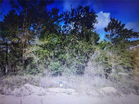 GREY, INTERLACHEN, FL 32148