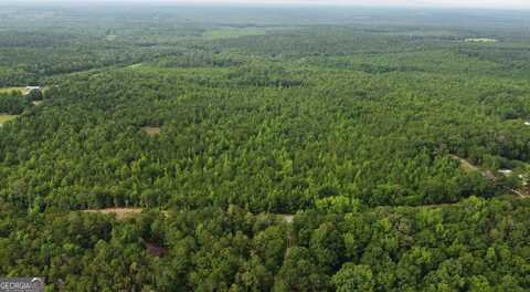 0 State Route 240, Ideal, GA 31041