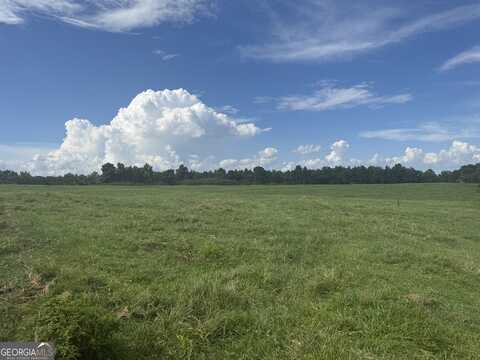 0 Louise, Roopville, GA 30170