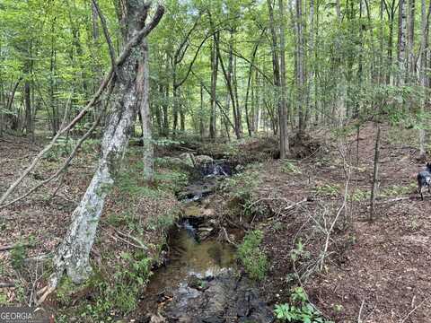 140+/- Ac Hwy 100, Franklin, GA 30217