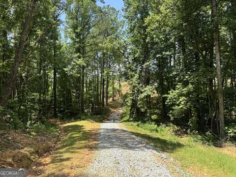 319 +/- Ac Hwy 100, Franklin, GA 30217