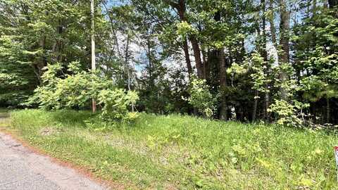 V/L River, Oscoda, MI 48750