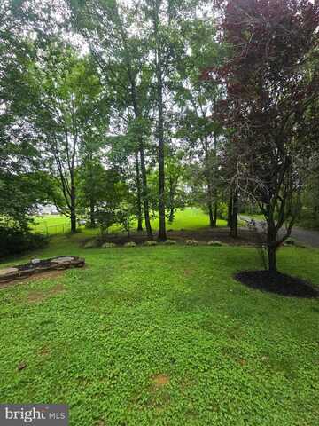 3605 BURTON ROAD, BUMPASS, VA 23024
