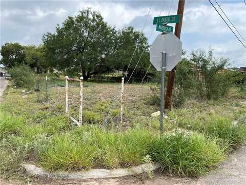 100 N Mariposa Drive, Rio Grande City, TX 78582
