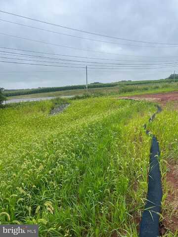 LOT #2 ELIZABETHTOWN RD, HERSHEY, PA 17033