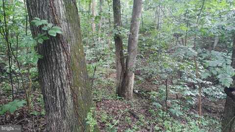 LOT 10 MAGNOLIA DRIVE, FRONT ROYAL, VA 22630