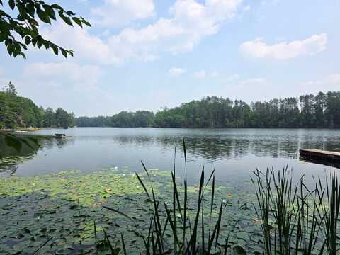 W2597 HOLLISTER RD E, White Lake, WI 54491