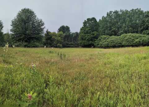 V/L W Ohio Street, Shelby, MI 49455