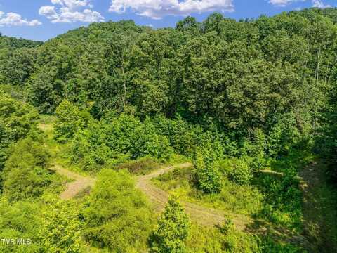 Tbd Hermitage Lane, Mount Carmel, TN 37645