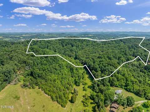 Tbd Hermitage Lane, Mount Carmel, TN 37645