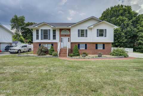 104 Mountain View Drive, Mount Carmel, TN 37645