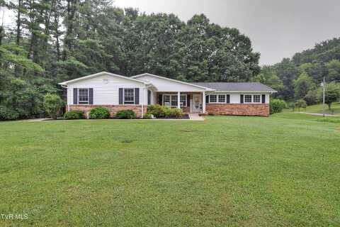 195 Fitzsimmons Hill Road, Elizabethton, TN 37643