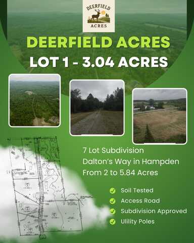 Lot 1 Dalton's Way, Hampden, ME 04444