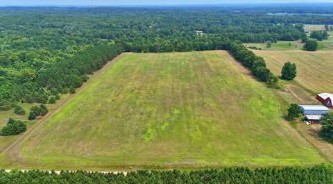 20+/- Acres 140th Avenue, Stanwood, MI 49346