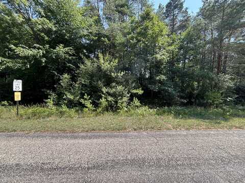 10951 Dobbyn Drive, Canadian Lakes, MI 49346