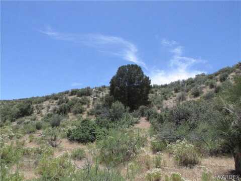 Oxen Pass, Wikieup, AZ 85360