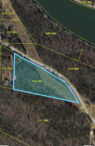 000 Wooley Creek Road, Cape Fair, MO 65624