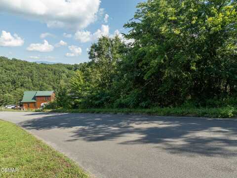 1047 Timber Woods Drive, Sevierville, TN 37862