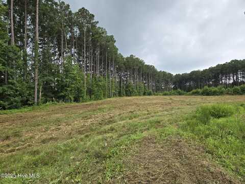 Lot 50 Roseheath Court, Bailey, NC 27807