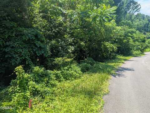 0 Beech Branch Road, Gatlinburg, TN 37738