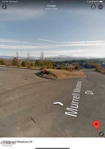 Murrell Meadows Drive Drive, Sevierville, TN 37876