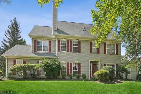 111 S Branch Dr, Readington, NJ 08889