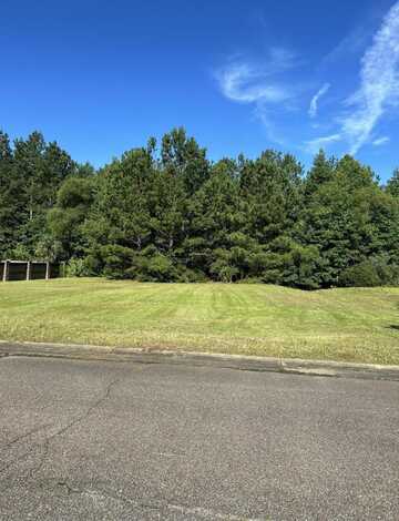 Belle Vallee Dr, Columbus, MS 39705