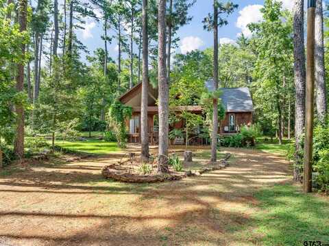 196 Pine Branch Glen, Holly Lake Ranch, TX 75765