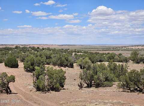 27 N 9183, Concho, AZ 85924