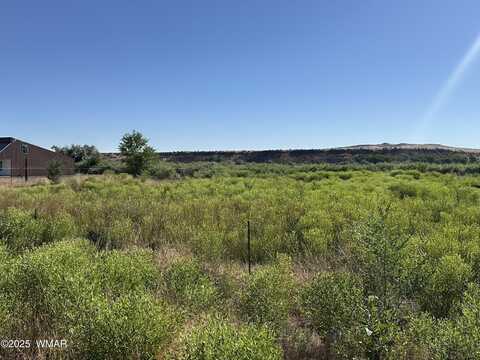 Tbd W Main Street, Springerville, AZ 85938