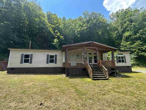 17 Ambrosia Lane, Iaeger, WV 24844