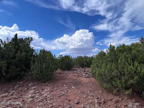 000 Antelope Road, Show Low, AZ 85901