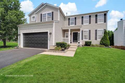 14226 Carriage Station Street, Lockport, IL 60441