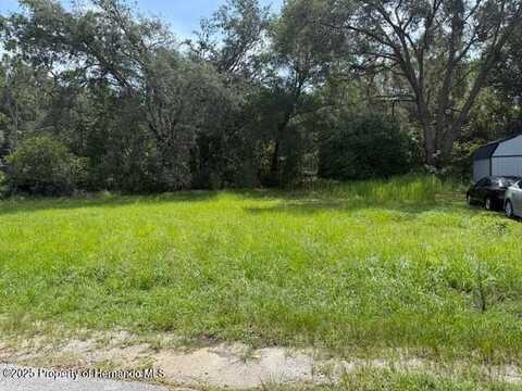 Oakton Drive, Brooksville, FL 34602