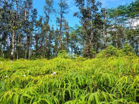 KEHAU RD, Pahoa, HI 96778