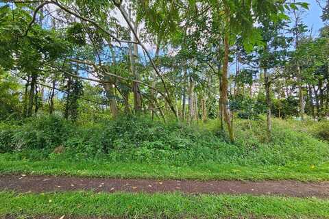 PRISCILLA RD, Pahoa, HI 96778