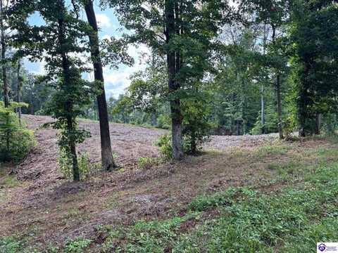 0 Wooldridge Ferry Road, Elizabethtown, KY 42701