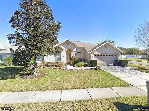 Primula, NEW PORT RICHEY, FL 34654