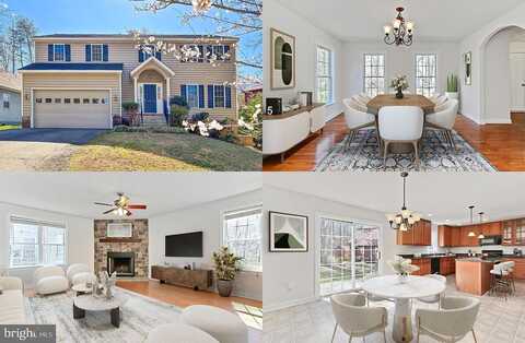 Harrison, LOCUST GROVE, VA 22508